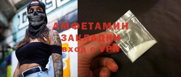 индика Новозыбков