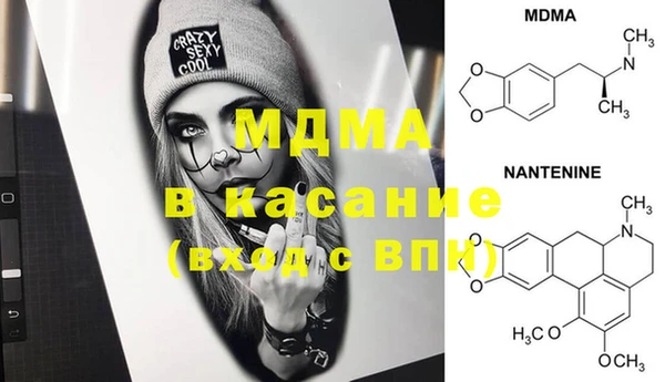индика Новозыбков