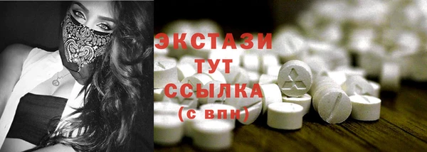 индика Новозыбков
