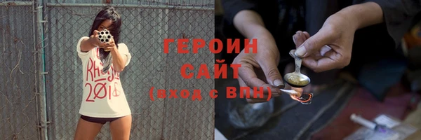 индика Новозыбков