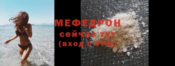 индика Новозыбков