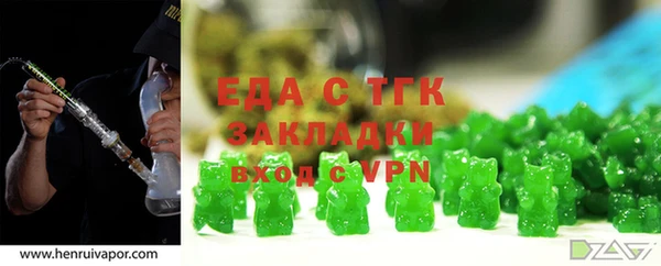 индика Новозыбков