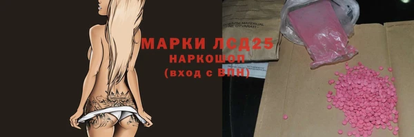 индика Новозыбков