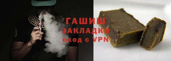 индика Новозыбков