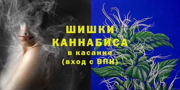 индика Новозыбков