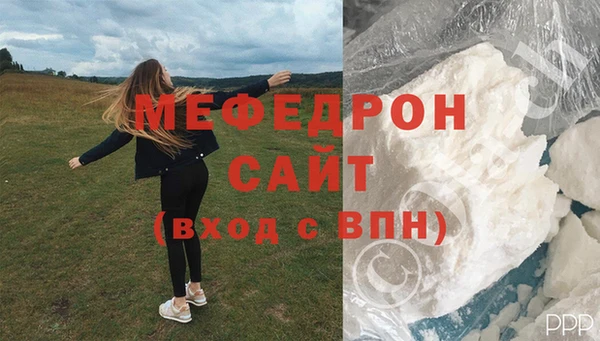 индика Новозыбков