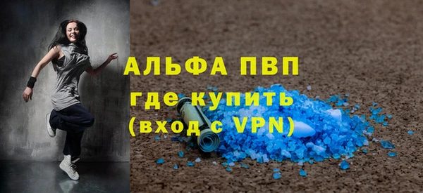 индика Новозыбков