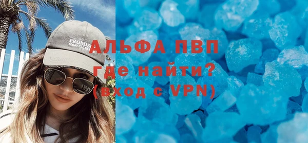 индика Новозыбков