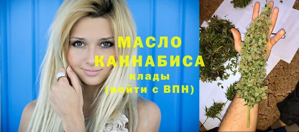индика Новозыбков