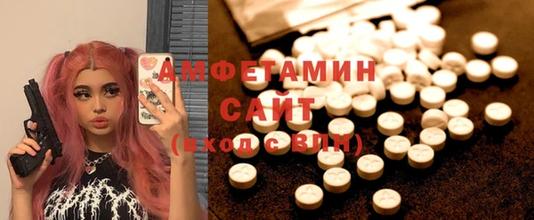индика Новозыбков