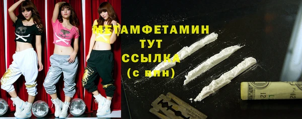 прущие грибы Зуевка