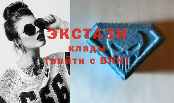 индика Новозыбков