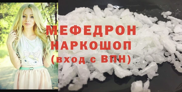 индика Новозыбков