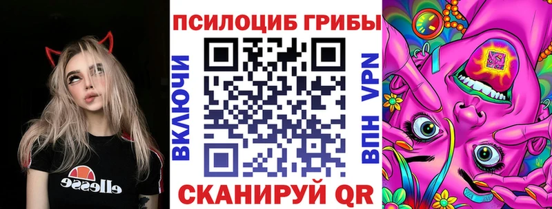 KRAKEN ссылка  купить наркотик  Котово  Псилоцибиновые грибы Psilocybe 